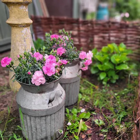 דירה Siedlisko Przystanek Szczescie Piasutno