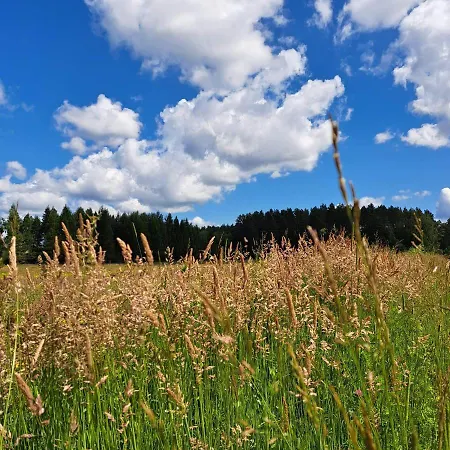 Siedlisko Przystanek Szczescie 公寓 Piasutno