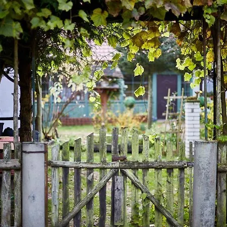 Siedlisko Przystanek Szczescie Piasutno