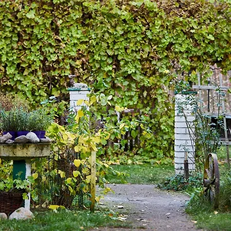 Siedlisko Przystanek Szczescie * Piasutno