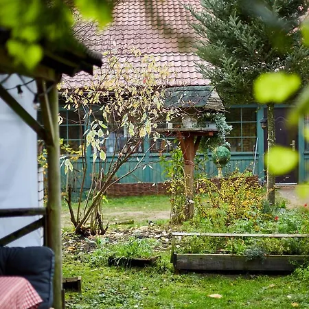 Siedlisko Przystanek Szczescie *