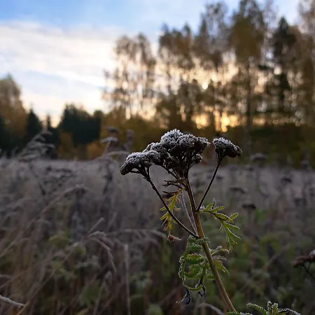 דירה Siedlisko Przystanek Szczescie Piasutno