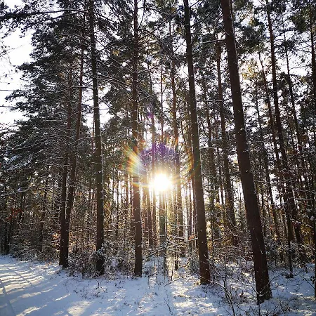 Siedlisko Przystanek Szczescie Piasutno