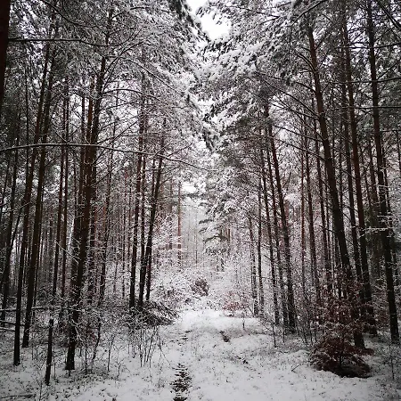 Siedlisko Przystanek Szczescie