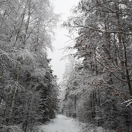 Siedlisko Przystanek Szczescie * Piasutno