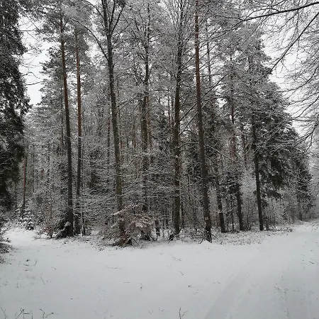 Siedlisko Przystanek Szczescie Apartmán *