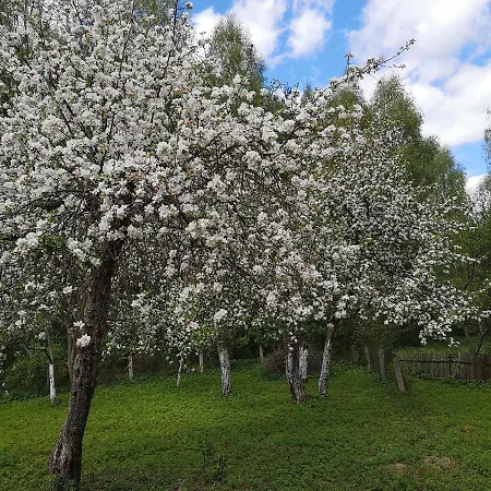 Siedlisko Przystanek Szczescie דירה Piasutno