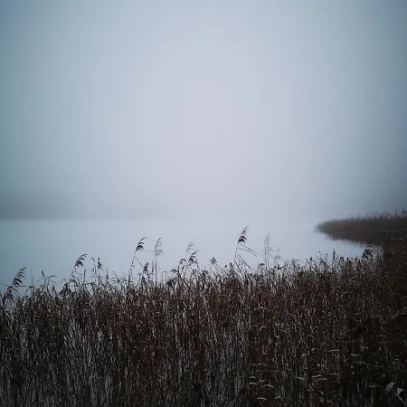 Siedlisko Przystanek Szczescie * Piasutno