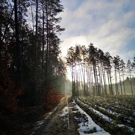 Siedlisko Przystanek Szczescie דירה