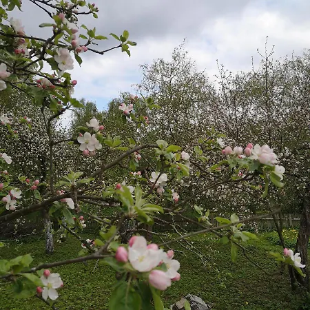 Siedlisko Przystanek Szczescie Piasutno