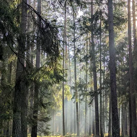 Siedlisko Przystanek Szczescie Apartmán *