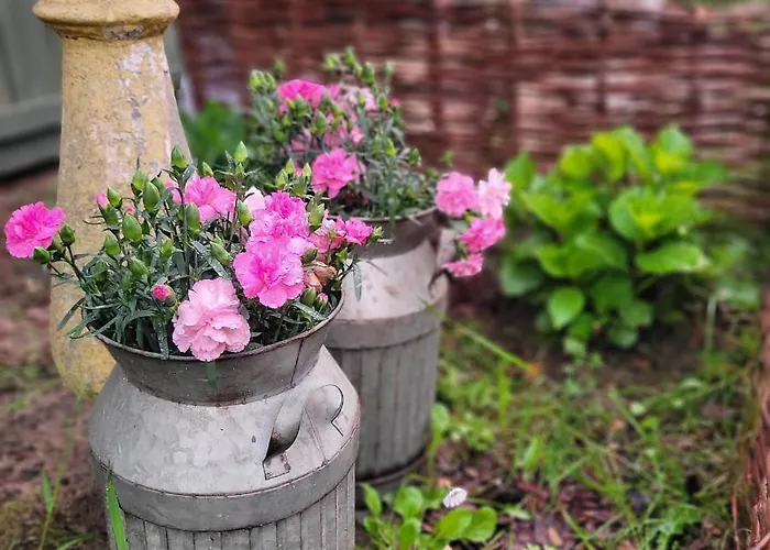 Apartman Siedlisko Przystanek Szczescie Piasutno