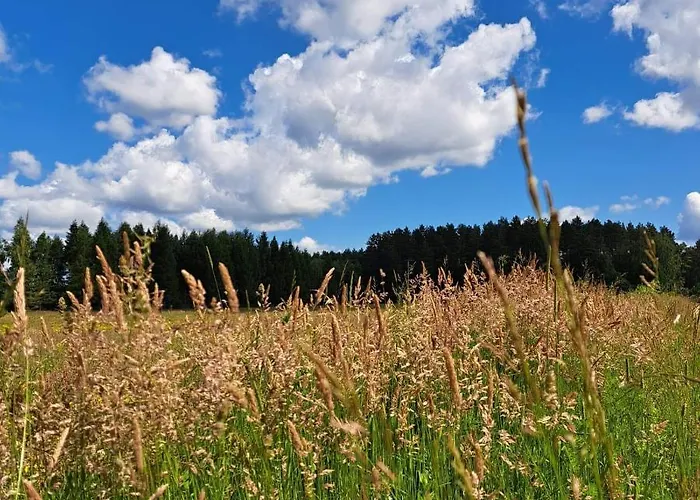Siedlisko Przystanek Szczescie Apartman Piasutno