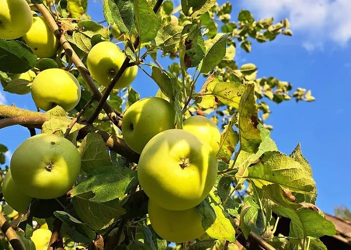 Siedlisko Przystanek Szczescie