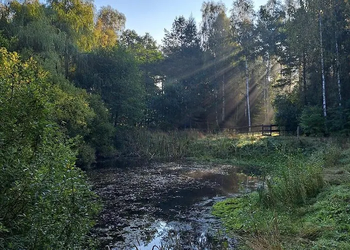 Siedlisko Przystanek Szczescie