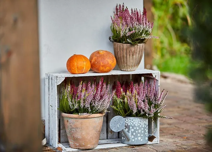 Siedlisko Przystanek Szczescie Piasutno