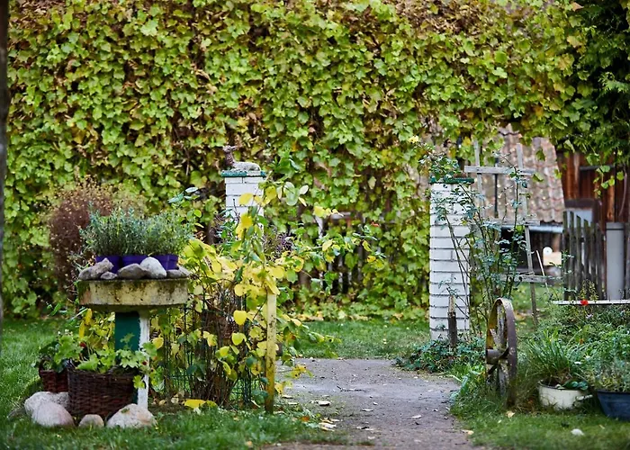 Siedlisko Przystanek Szczescie * Piasutno