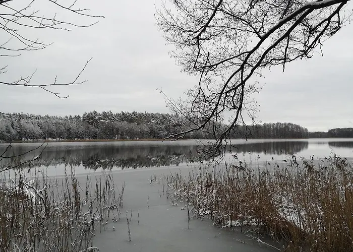 Siedlisko Przystanek Szczescie * Piasutno