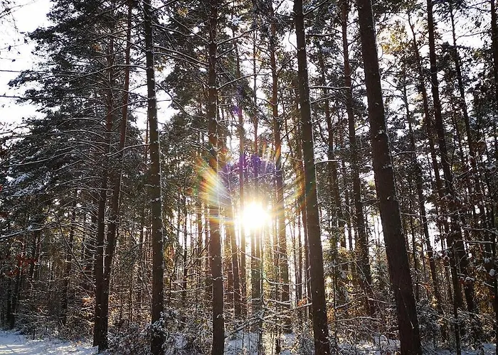 Siedlisko Przystanek Szczescie Piasutno