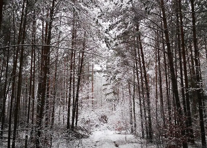 Siedlisko Przystanek Szczescie