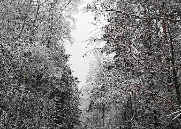 Siedlisko Przystanek Szczescie * Piasutno