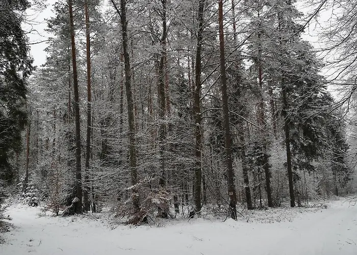 Siedlisko Przystanek Szczescie Apartman *