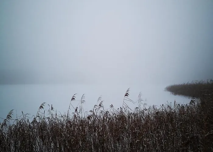 Siedlisko Przystanek Szczescie * Piasutno