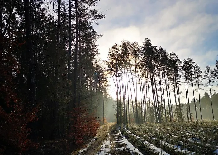 Siedlisko Przystanek Szczescie Апартаменты